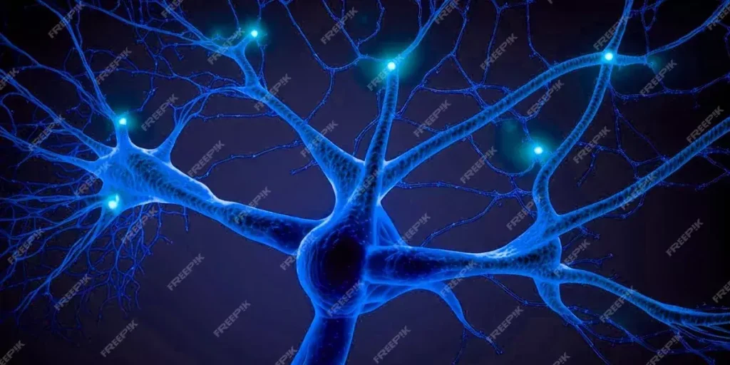 تحصیلات و آموزش نورولوژیستها